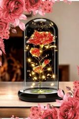 Fanus Içerisinde Dekoratif Rgb Peri Led Işıklı Solmayan Sonsuzluk Gülü pembe gül Galaxy Lamba