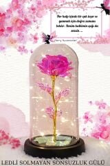 çelik lotus kolye ve fanus içerisinde  pembe solmayan sonsuzluk gülü hediyelik set